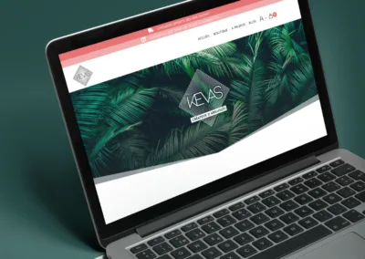 Création site web marchand producteur